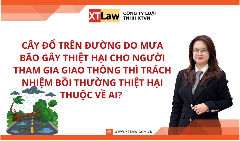 CÂY ĐỔ TRÊN ĐƯỜNG DO MƯA BÃO GÂY THIỆT HẠI CHO NGƯỜI THAM GIA GIAO THÔNG THÌ TRÁCH NHIỆM BỒI THƯỜNG THIỆT HẠI THUỘC VỀ AI?