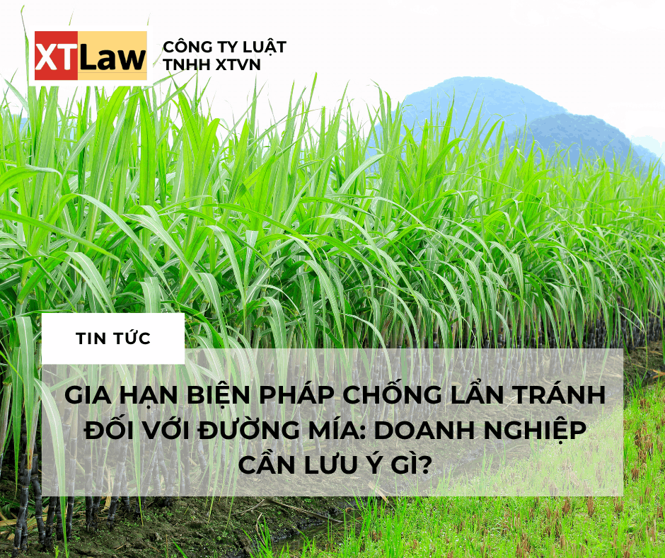 GIA HẠN BIỆN PHÁP CHỐNG LẨN TRÁNH ĐỐI VỚI ĐƯỜNG MÍA:  DOANH NGHIỆP CẦN LƯU Ý GÌ?